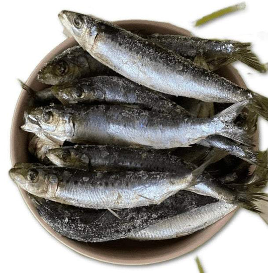 WHOLESALE Sardines 1kg