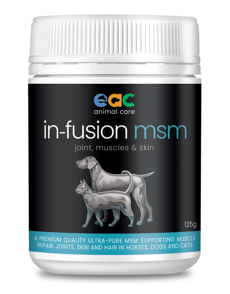 In-Fusion MSM - Ultra Pure Joint Supplement For Horses, Dogs & Cats